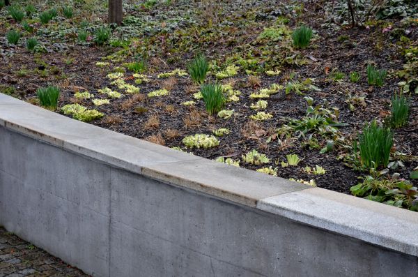 Cost of Walls Pouring Service in Waxhaw