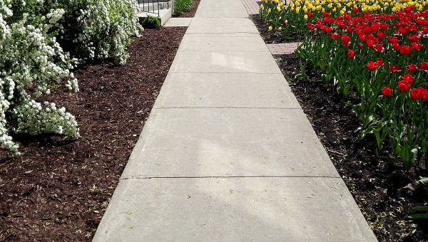 Sidewalk Slab Replacement in Waxhaw