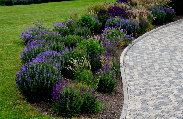 Cost of Sidewalk Curb Installation in Waxhaw