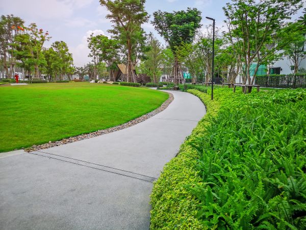 Cement Walkway Service