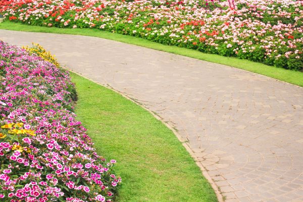 Concrete Walkway Service in Waxhaw