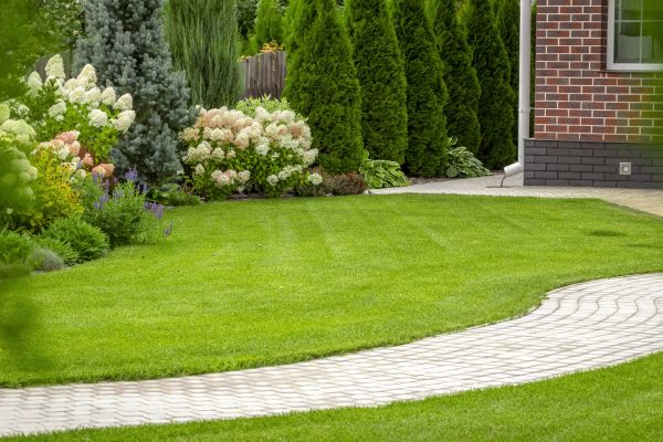 Landscape Walkway Installation in Waxhaw